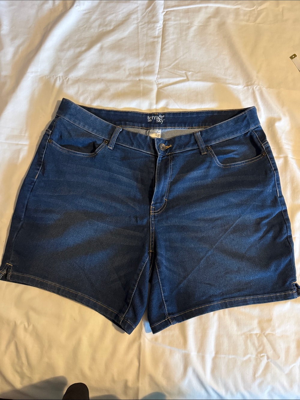 Size 18W Terra & Sky Shorts